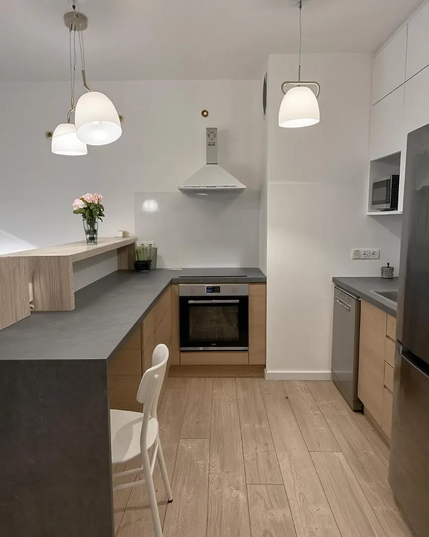 Apartment Kurkowa 14 By The River - 900 Steps To Market Wroclaw